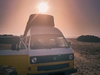 Campervan hire Lanzarote - tweety