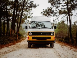 Campervan hire Porto - Tweety forest